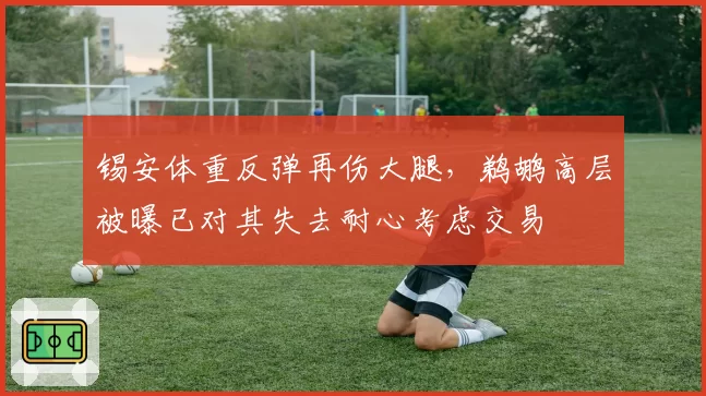 锡安体重反弹再伤大腿，鹈鹕高层被曝已对其失去耐心考虑交易